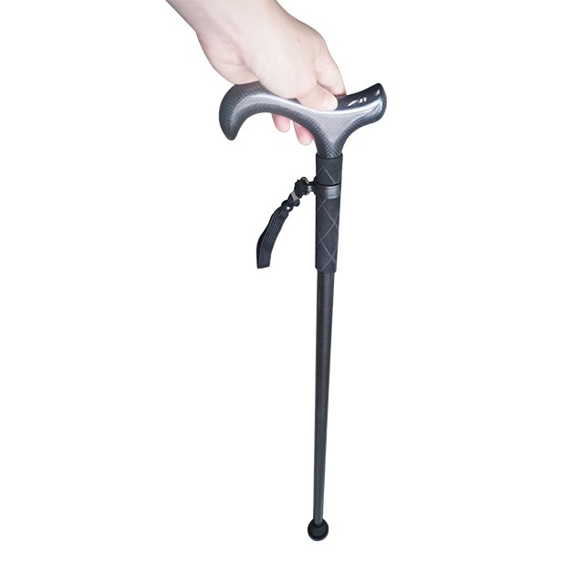 Ultraleichter Wanderstock aus  – Trekking Pole Carbon Bewertung und Preis
